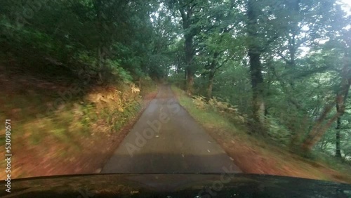 Driving POV with Headlights on Small Dirty Countryside Road with Trees and Sheer Cliff Drop in Devon UK 4K photo