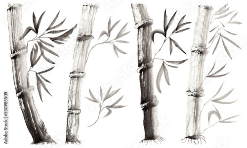 Fototapeta Naklejka Na Ścianę i Meble -  Set of hand drawn bamboo stalks and leaves isolated on transparent background. Monochrome Floral illustration in Japanese folk painting style Sumi-e