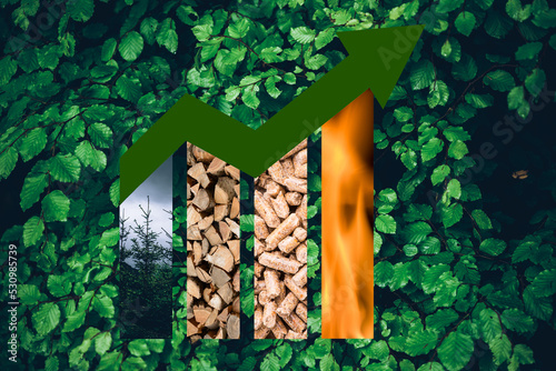pellet green power on foliage background - green renewable sustainable economy