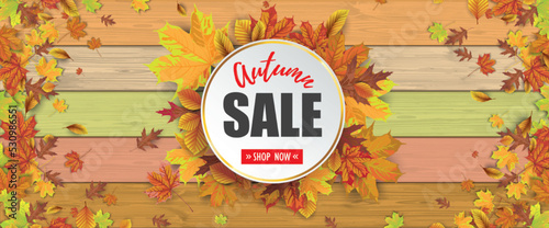 Autumn Colors Wooden Planks Foliage Sale Emblem Header
