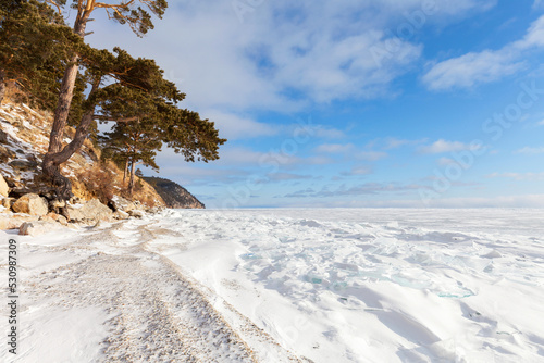 Beautiful winter landscape of frozen Baikal Lake with snowy beach near the coastal hills with picturesque pine trees on the shore. Winter travel. Natural background photo