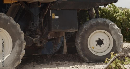 Side Shot of a Blue Grape Harvester Shaking Vineyards from Left to Right in Spain in Slow Motion - 60fps