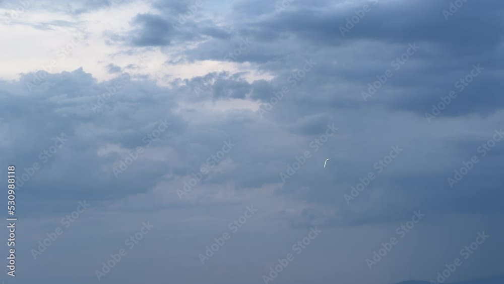A lone seagull is circling over the sea. Overcast sky. A lone seagull is circling over the sea. Overcast sky.