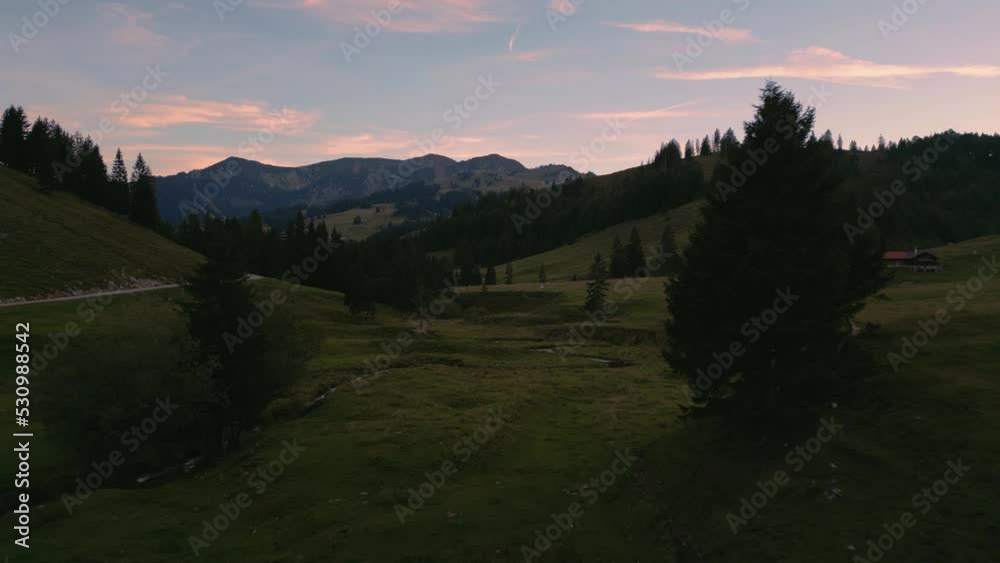 A herd of cows at the grass meadows in the romantic, traditional and idyllic Bavarian Wendelstein alps mountains by sunset with red cloud sky and mountain peaks. Aerial drone panoramic hiking outdoors