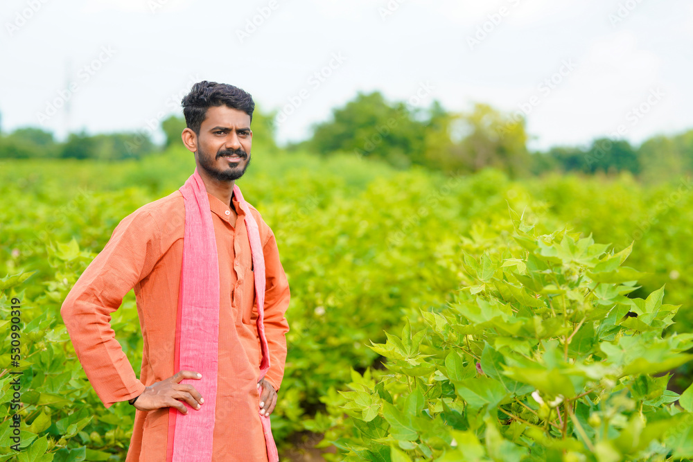 young indian farmer at cotton agriculture field.