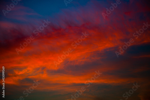 Beautiful red clouds in the dark blue sky, summer sunset © E.O.