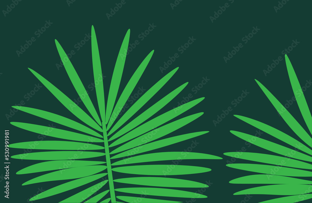 Fototapeta premium Palm tree leaf on dark green background.