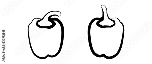 Vector set of peppers. Vegetables: two black and white artline drawing peppers.