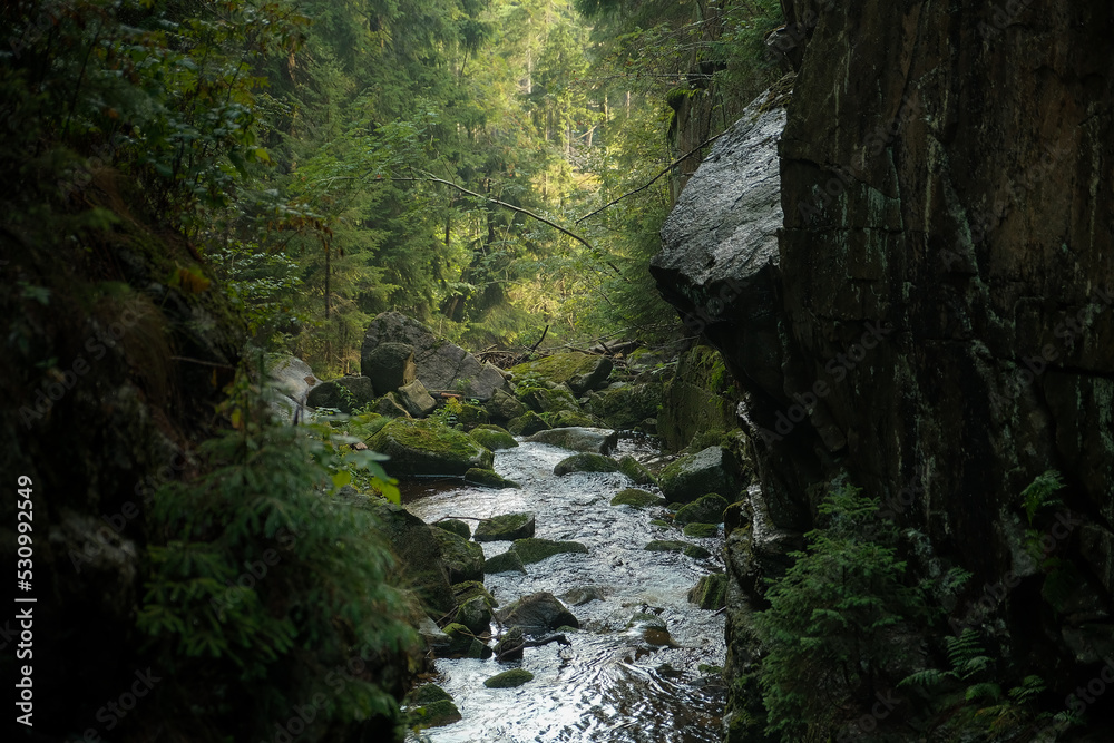 waterfall in the forest. mountain water. wildlife . mountain river turning into a waterfall. waterfall in the forest. mountain water. wildlife . mountain river turning into a waterfall.
