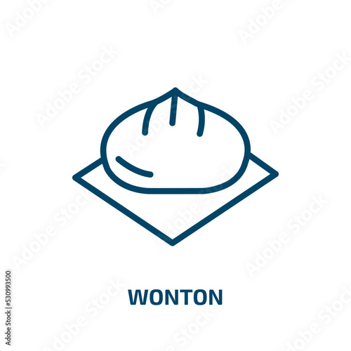 wonton icon from food collection. Thin linear wonton, dumpling, cuisine outline icon isolated on white background. Line vector wonton sign, symbol for web and mobile
