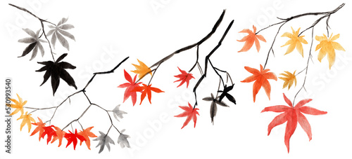 Photography Maple tree branch with red and gold yellow autumn leaves