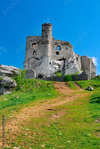 Ruins of 14th century castle located in the Mirow village, Silesian Voivodeship, Poland.