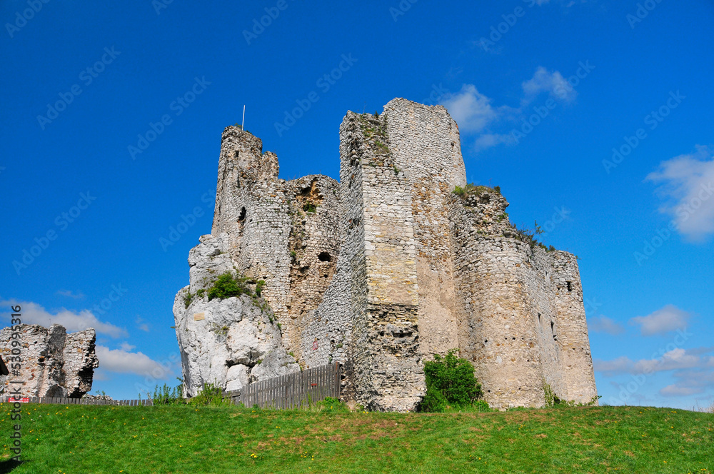 Ruins of 14th century castle located in the Mirow village, Silesian Voivodeship, Poland.
