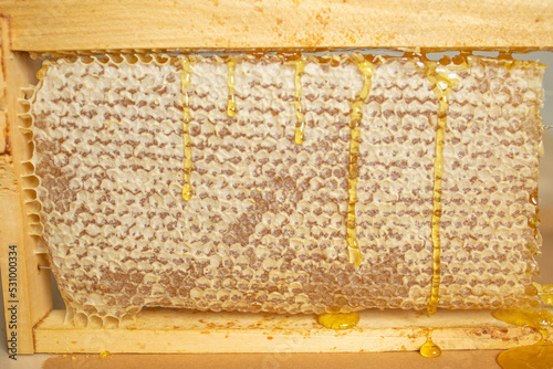 honeycombs close-up. Natural sweets, the benefits of honey, the treatment of angina and orvi photo