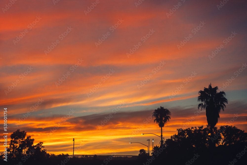 Los Angeles road sunset California. Gold orange pink and blue sky with street lamps and palm tree silhouette Los Angeles road sunset California. Gold orange pink and blue sky with street lamps and palm tree silhouette
