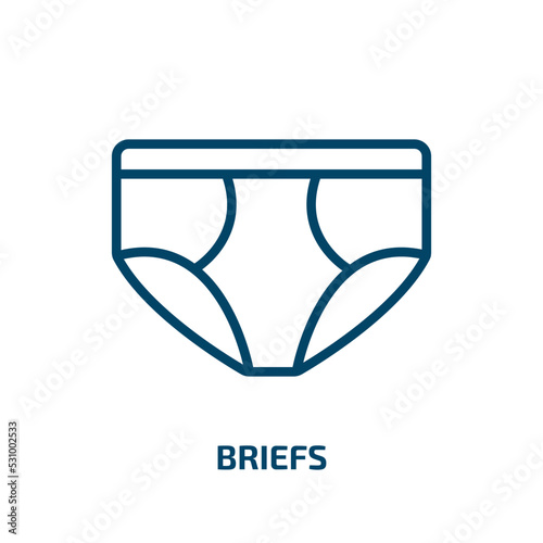 briefs icon from clothes collection. Thin linear briefs, business, brief outline icon isolated on white background. Line vector briefs sign, symbol for web and mobile