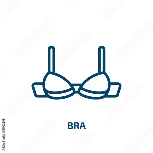 bra icon from clothes collection. Thin linear bra, underwear, fashion outline icon isolated on white background. Line vector bra sign, symbol for web and mobile