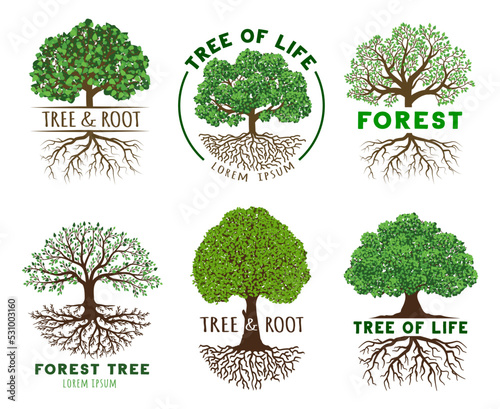 Life tree emblem template. Wisdom and harmony trees with roots, vibrant leaves on branches vector illustration set