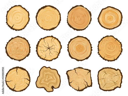 Tree trunk cross section. Round pine logs, forest wood circle and tree rings vector illustration set