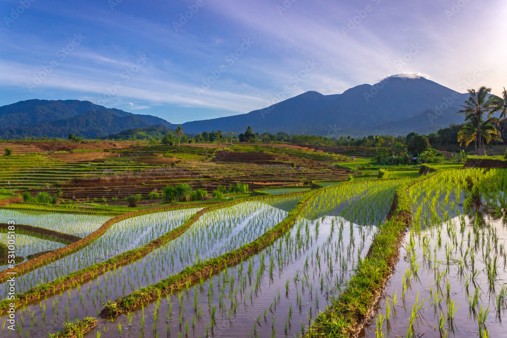 Indonesian scenery, green rice terraces and beautiful mountains