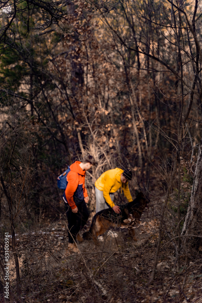 Petting the dog together in the forest while having fun, selective focus Petting the dog together in the forest while having fun, selective focus