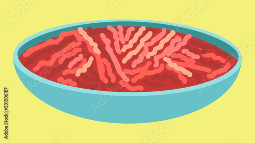Plate with borscht, illustration, vector