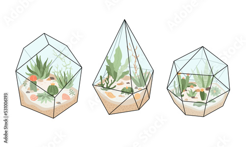 Floral geometric terrarium set. Florarium with cactuses, succulents, leaves, branches, stones and seashells decoration on sand. Exotic small house plant, home mini garden. Vector illustration.