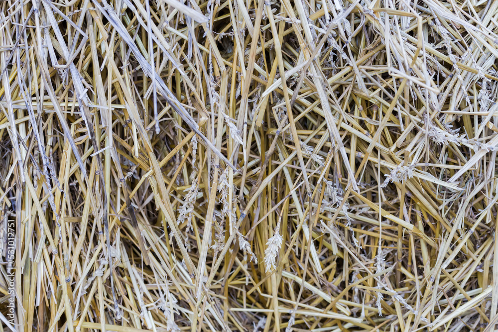 Background of the old darkened wheat straw on a heap Background of the old darkened wheat straw on a heap