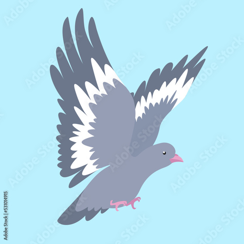 dove in flight on a blue background