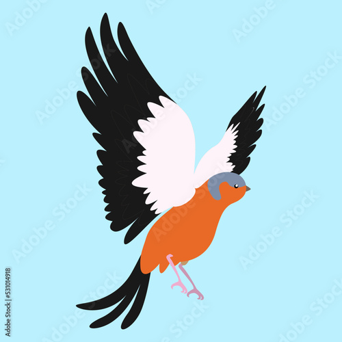 bullfinch in flight on a blue background