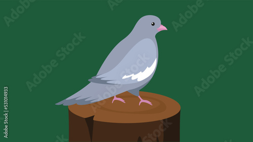 a dove stands on a stump