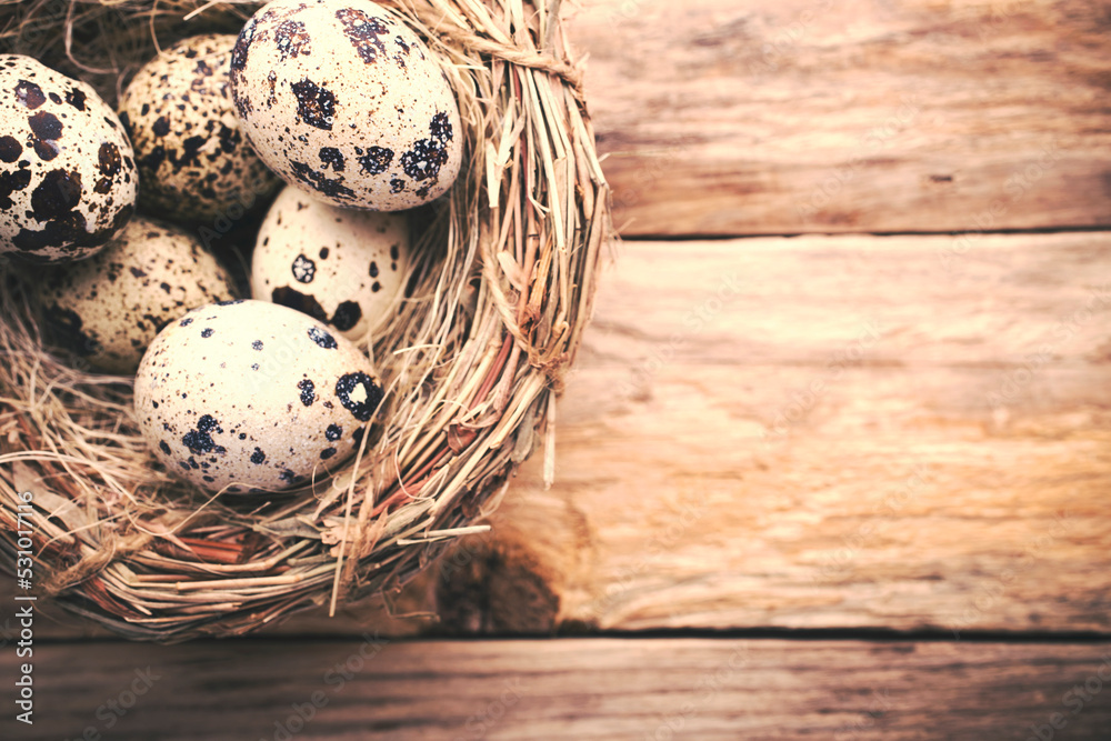 Obraz premium Quail eggs. Easter greeting card.