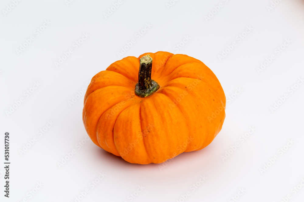 Obraz premium Creative Top view flat lay pumkin composition.