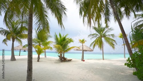 Tropical Beach with Palm trees white sand and lounge chairs photo