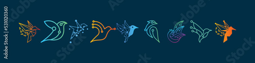 technology bird vector logo design collection, technology hummingbird