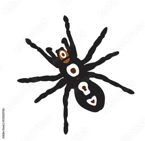 Vector illustration of a spider.