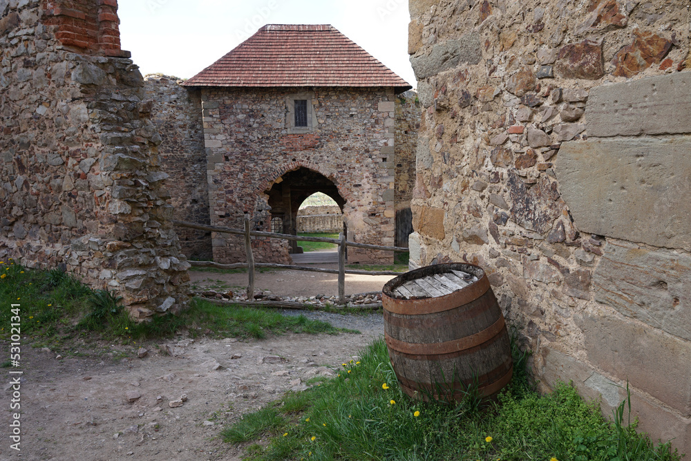 Obraz premium Tocnik Castle, historic monument in Central Bohemian Region and popular tourist landmark, Tocnik, Czechia