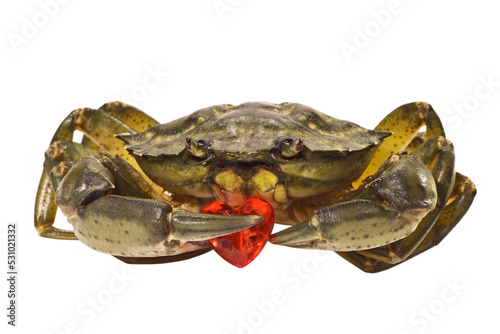 Crab and glass red heart isolated on white background