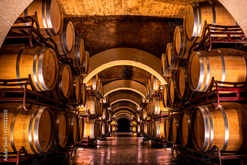 Cellar with barrels for storage of wine in Spain