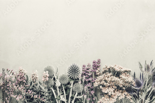 Homeopathy tea ingredients with various fresh herbs and flowers, on pastel background, top view, frame.