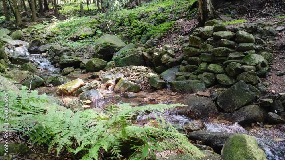 mountain stream runs over stones in the forest. flowing river, green leaves, mossy rocks, green forest. natural sound mountain stream runs over stones in the forest. flowing river, green leaves, mossy rocks, green forest. natural sound