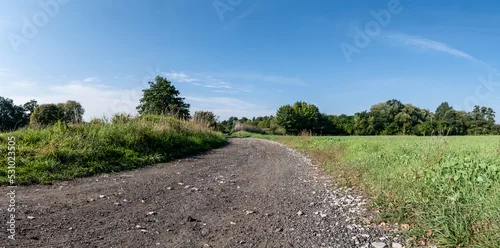 Obraz polna droga pośrodku łąk i pól, krajobraz wiejski w rejonie zachodniej polski a w tle zielone drzewa błękitne niebo
