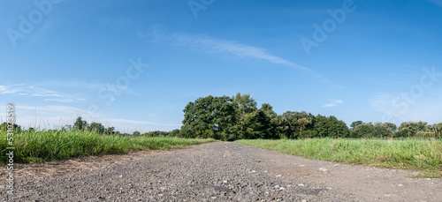 Fototapeta Naklejka Na Ścianę i Meble -  polna droga pośrodku łąk i pól, krajobraz wiejski w rejonie zachodniej polski a w tle zielone drzewa błękitne niebo