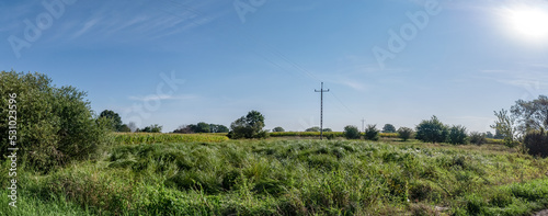 droga elektryczna na środku łąki, krajobraz w rejonie zachodniej polski zielone drzewa błękitne niebo  