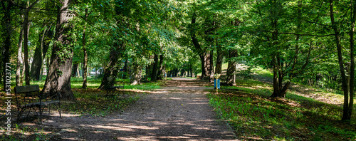 ścieżka w parku ławki pośród drzew zielony klimat zachodnia polska