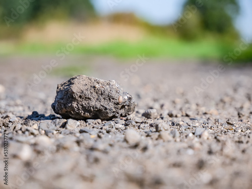 Kamień swobodnie spoczywający na kamiennej dróżce w obszarze wiejskim o letniej porze w zachodniej Polsce