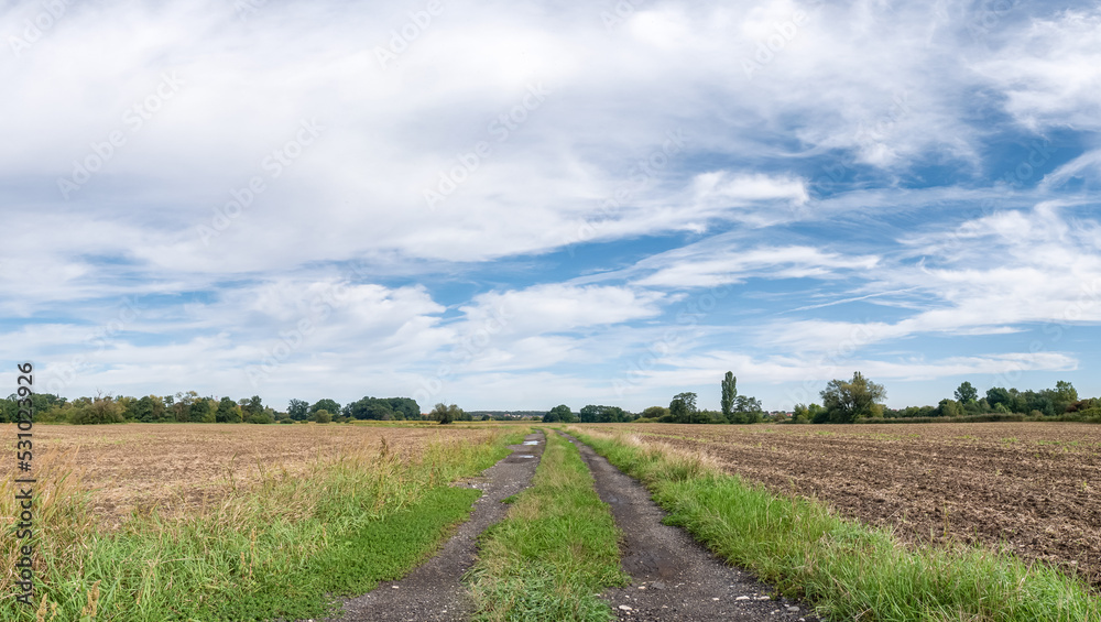 polna droga pośrodku łąk i pól, krajobraz wiejski w rejonie zachodniej polski a w tle zielone drzewa błękitne niebo z umiarkowanym zachmurzeniem