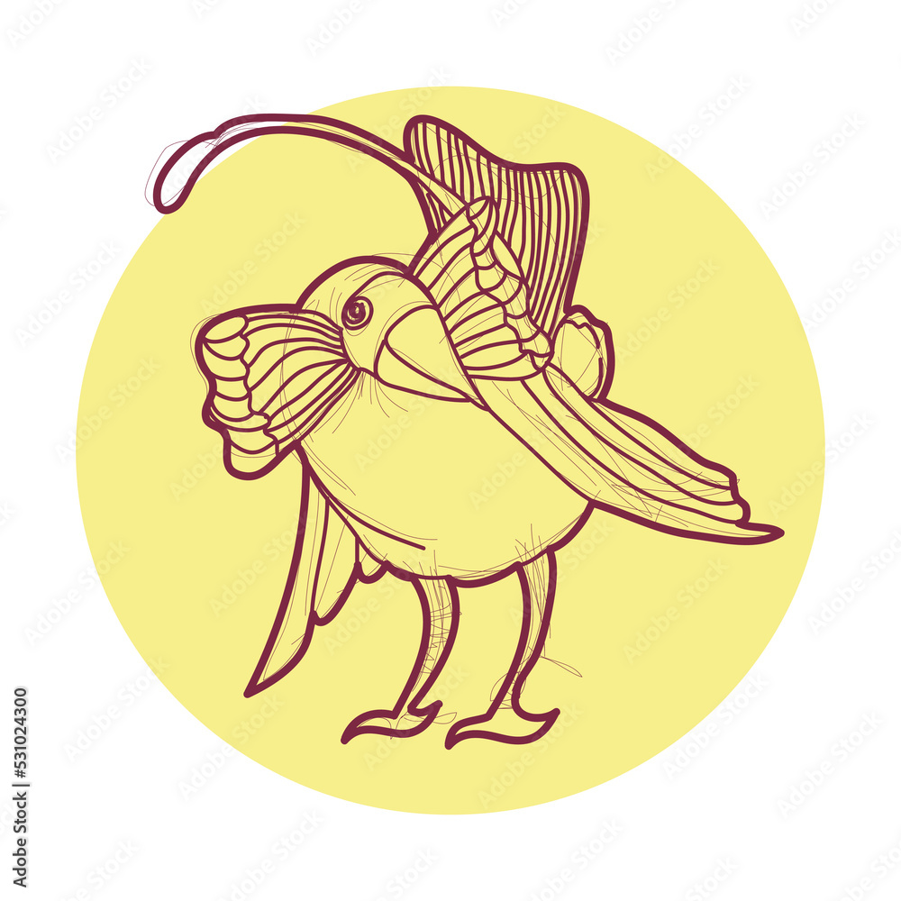 Vector illustration for bird of paradise Vector illustration for bird of paradise