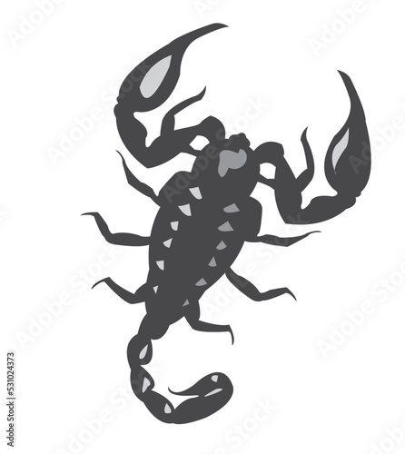 scorpion isolated on white background © kishore chandra