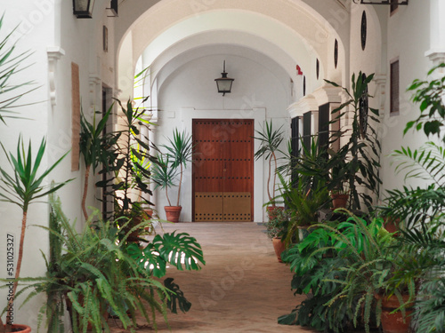 Interior view of typical andalusian patio with plants in Seville © marcelinopozo